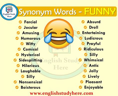 funniest synonyms|professional word for funny.